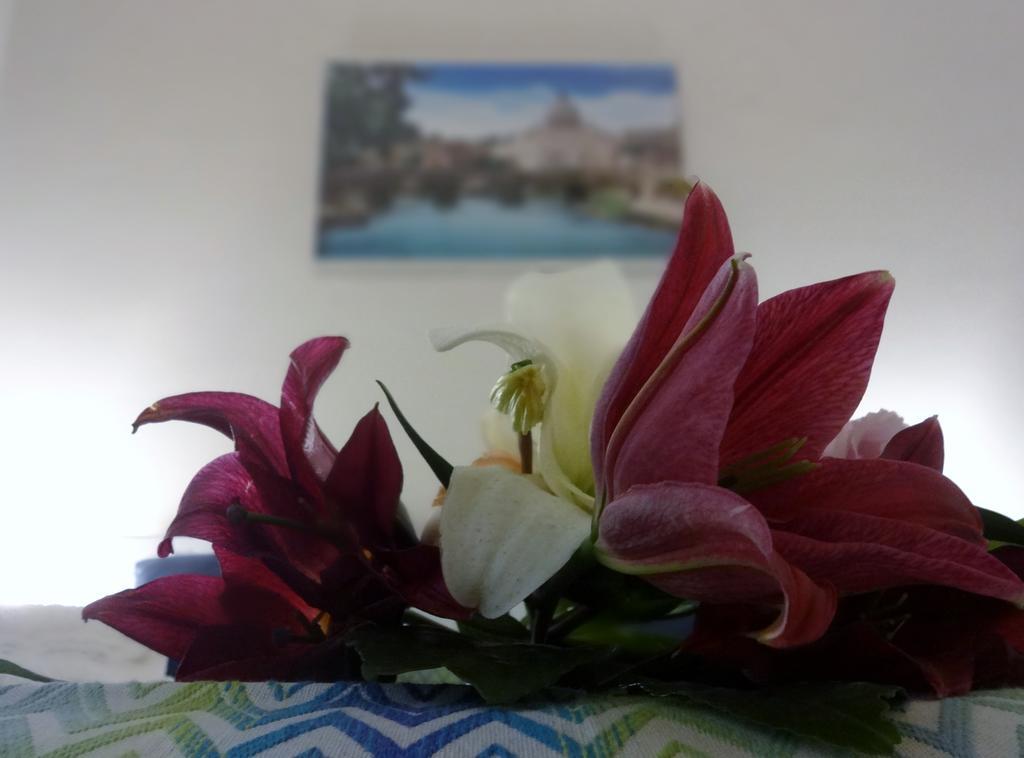 Romulea Guest House Exterior foto